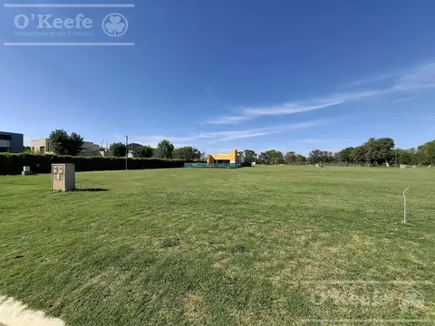 Terreno en Venta en Juan Maria Gutierrez, USD 59.000