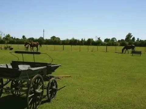 Excelente Lote En Barrio La