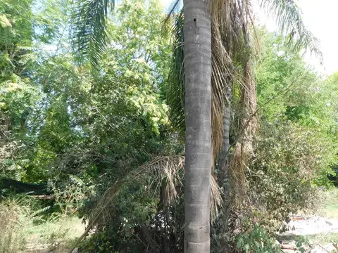 Terreno en venta - Moreno