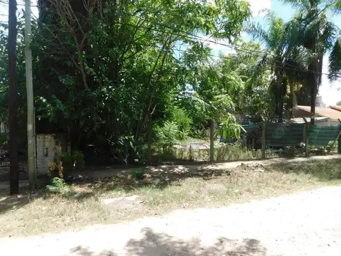 Juan Jose Paso y Mariano y Luciano de la Vega