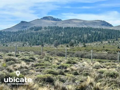 Terreno en Venta en Dina Huapi, USD 45.000