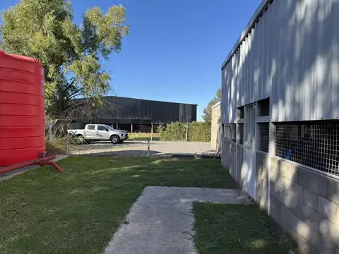 Caamaño  al 1300