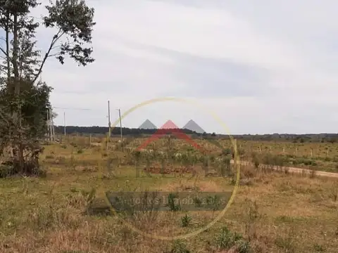 34 Hectáreas