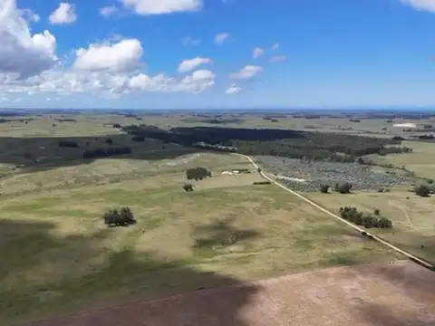 Chacra en venta en Jose Ignacio