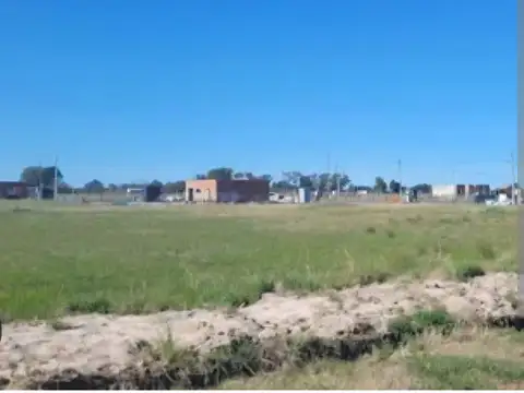 El Pampero 100
