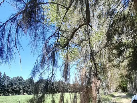 Quinta en Venta con 3 cocheras