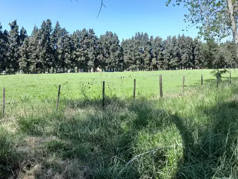 Quinta en Venta 50 años