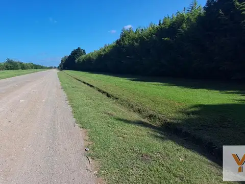 Terreno en Venta de 5000,0 m2