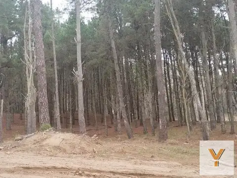 Terreno en Venta en Pinamar, USD 75.000