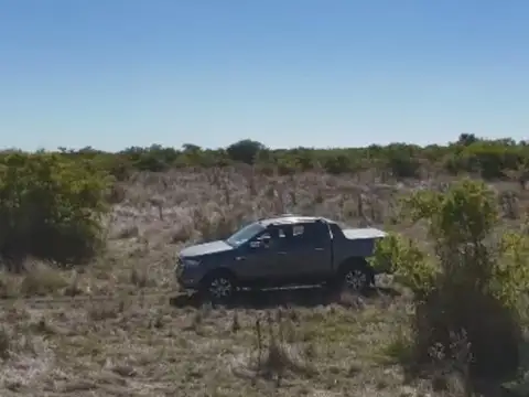 VENTA CAMPO GANADERO DE 162 HAS(LOS TALAS/BERISSO)
