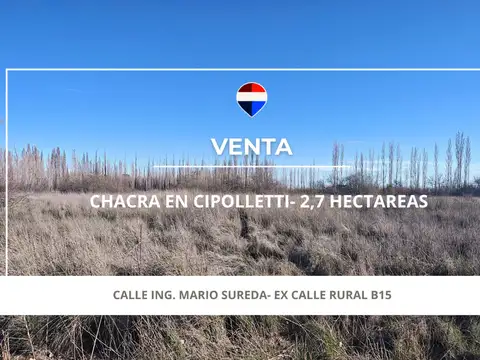 CHACRA EN VENTA DE 2.7 HAS APTO LOTEO - CIPOLLETTI
