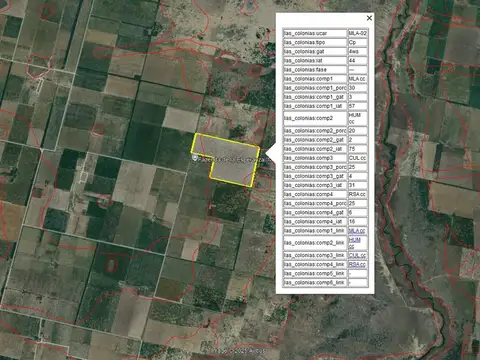 VENTA CAMPO MIXTO - PROVIDENCIA