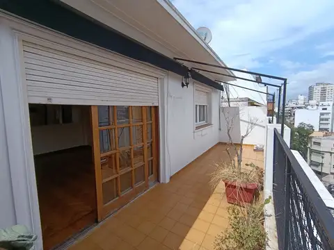 Camacuá 100