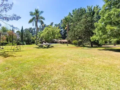 VENTA LOTE IDEAL EMPRENDIMIENTO 44.100M2 EXALTACIO