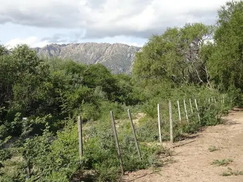 Terreno en Venta en Cortaderas, Chacabuco