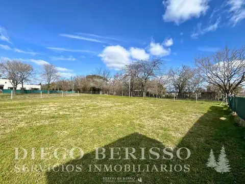 Terreno en Venta 20  mts Fondo