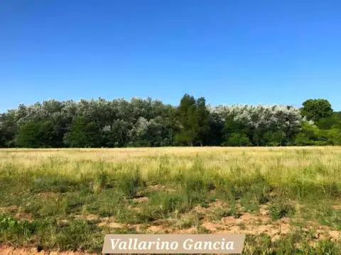 LOTES EN FINCA DE BOOTE -LOMA VERDE BARRIO SEMI CERRADO .ESCRITURA INMEDIATA. GAS NATURAL