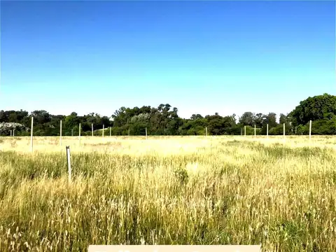 FINCAS DE BOOTE  al 1000