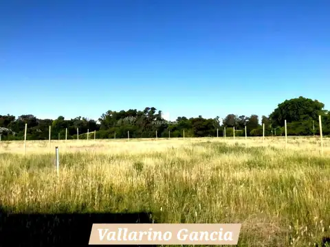 Terreno en Venta 20  mts Frente