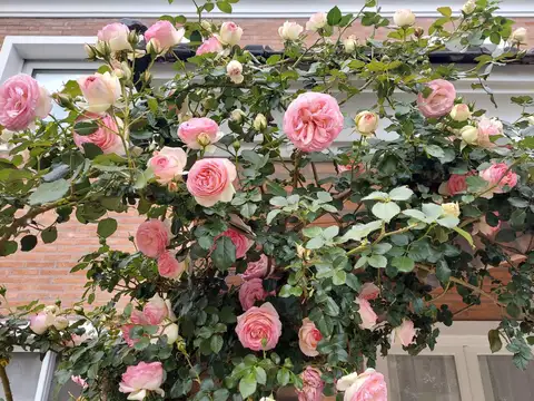 Casa en Venta con 5 cocheras