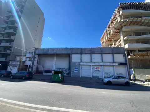 Av. Francia  al 1300