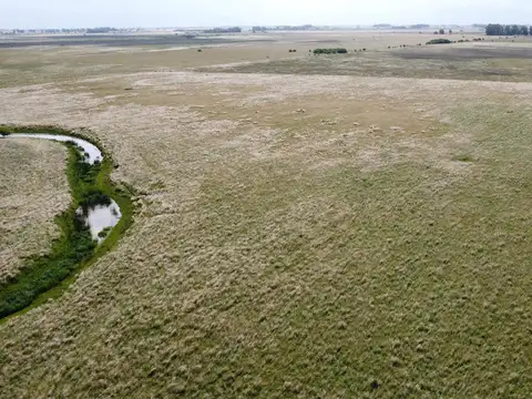 Alquiler de campo en Vieytes