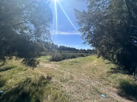 Venta de Campo de 2.82 hectáreas Camino Garcés