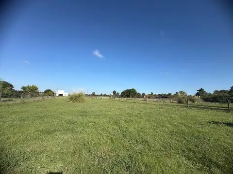 El Amparo, Lote 100