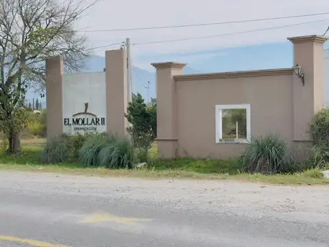 Rosario de Lerma. El Mollar II. Ruta Provincial 24. Mza. B Lote 100