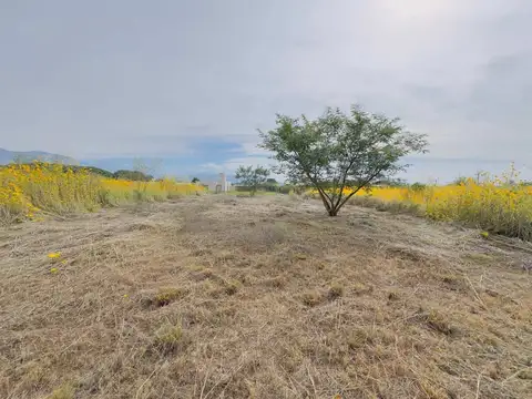 Terreno en Venta en Rosario De Lerma, USD 15.000