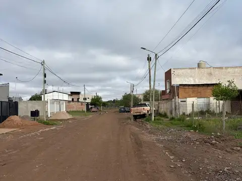 cauquen 100