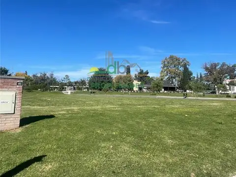 alejandro korn 3100