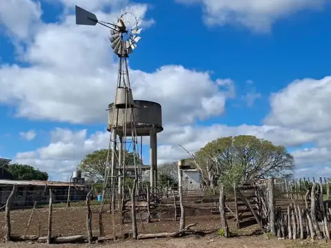Campo en Venta en Mercedes, Corrientes