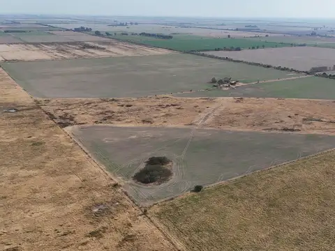 VENTA / CAMPO / BELLA ITALIA
