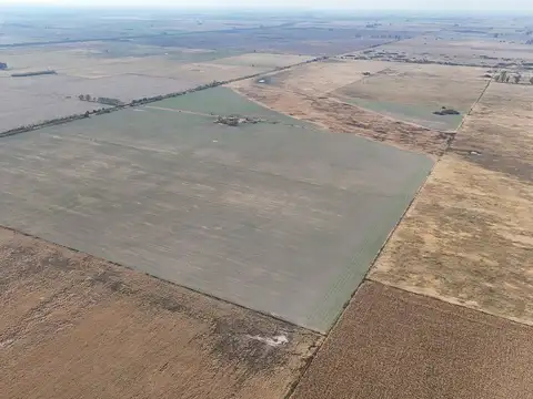 VENTA / CAMPO / BELLA ITALIA