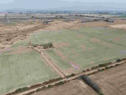 VENTA / CAMPO / BELLA ITALIA