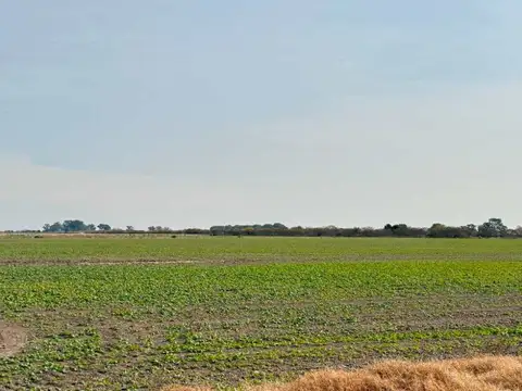 VENTA / CAMPO / BELLA ITALIA
