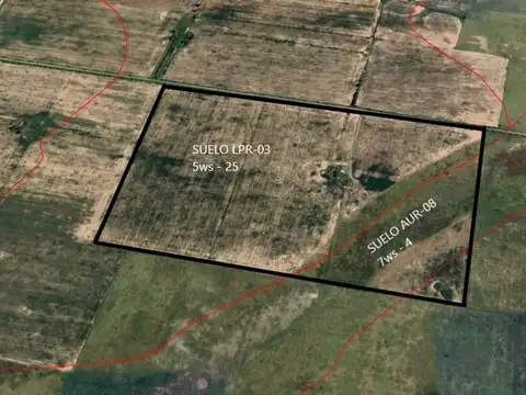 VENTA / CAMPO / BELLA ITALIA
