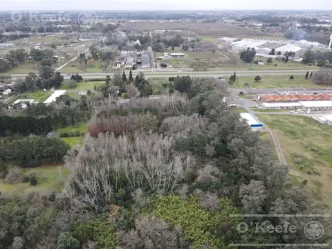 Chacra en venta 8,5 has Brandsen sobre Ruta 2 - Ideal Proyecto Inmobiliario