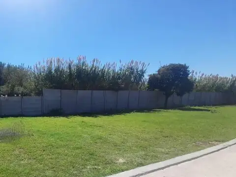 Terreno en Venta 11  mts Fondo