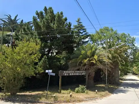 miguel de unamuno 2300