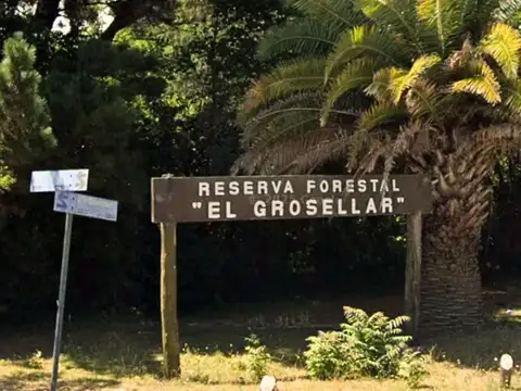 Lote en barrio Grosellar de 704m2 alambrado