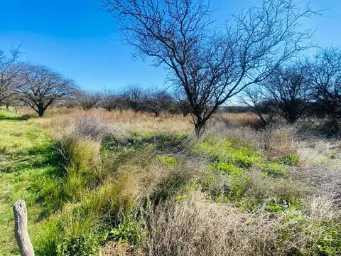 Terreno en Venta en Toay, La Pampa