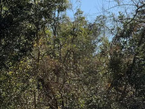 Camino de Las Tropas