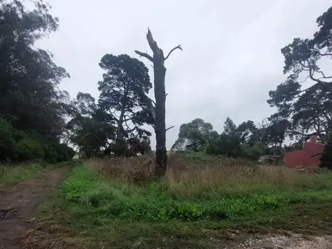 Terreno en Venta de 261,0 m2