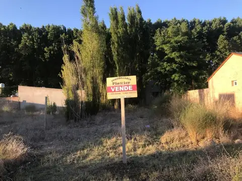 VENTA LOTE PLOTTIER  NEUQUEN 12X30  CAMINO DEL SOL URGENTE IMPUESTOS AL DIA     EXCENTE INVERSI...