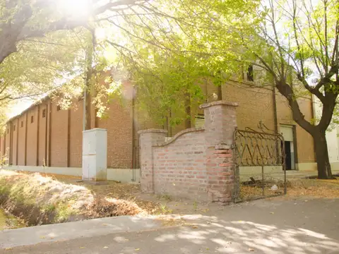 OPORTUNIDAD - BODEGA Y FINCA EN FUNCIONAMIENTO EN SAN RAFAEL