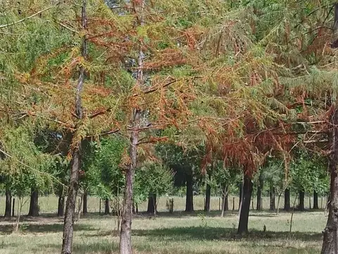 Hermosa chacra rural con casa parque posible permuta.