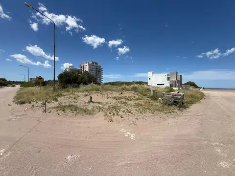 LOS ZORZALES Y YACASTO