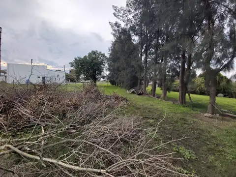 Terrenos y Lotes en Alquiler en Abasto [Cod: 096]